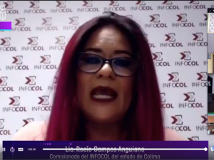 Panel Virtual “Nuevos Paradigmas hacia la Administración Pública Electrónica desde los Órganos Garantes de Transparencia este en la Región Centro- Occidente.