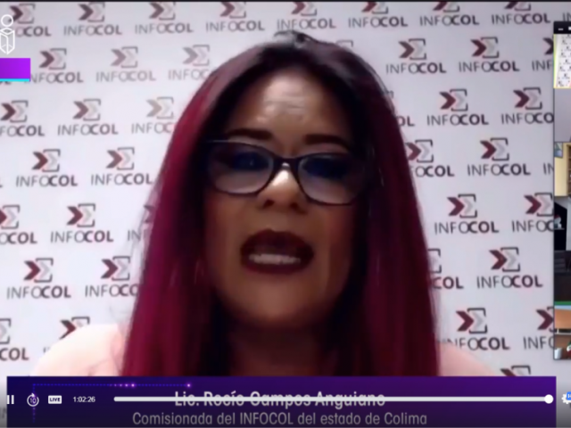 Panel Virtual “Nuevos Paradigmas hacia la Administración Pública Electrónica desde los Órganos Garantes de Transparencia este en la Región Centro- Occidente.