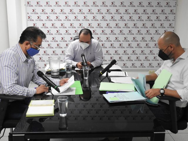 SEGUNDA SESIÓN ORDINARIA DE PLENO 2021