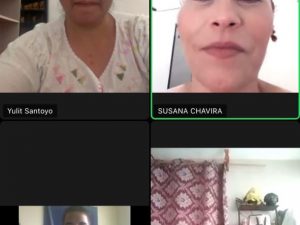 Inician la Socialización de PlanDAI en Colima 2020-2021